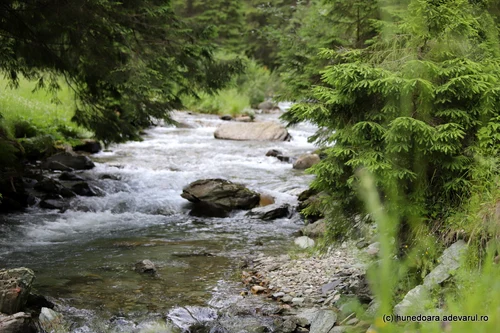 Cheile Jietului in Hunedoara Photo Daniel Guta THE TRUTH (27) JPG