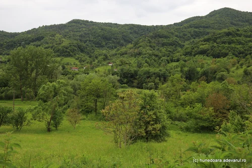 Blajeni commune, Hunedoara Photo Daniel Guță THE TRUTH (40) JPG