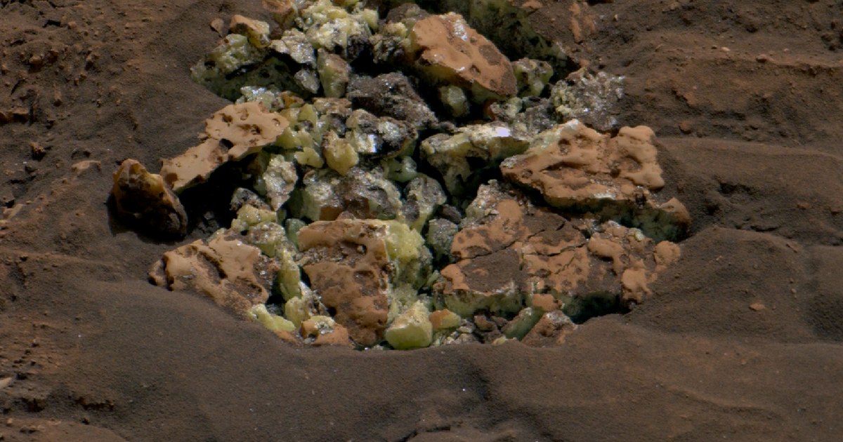 Curiosity rover's accidental discovery on Mars: 'Texture and colour, superb'