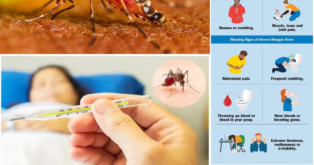 Dengue fever.  How to save your life and prevent severe infection: early signs