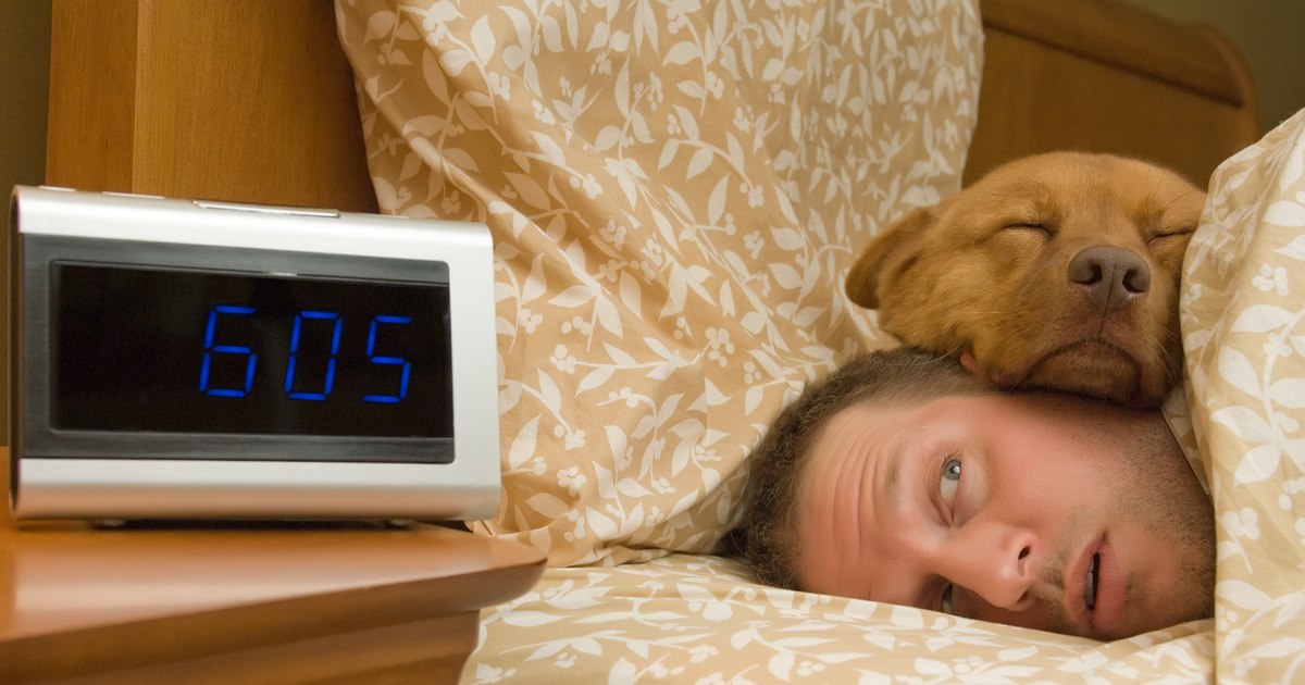 Dogs are bad for mental health, a study claims.  The research generated an outcry from animal lovers