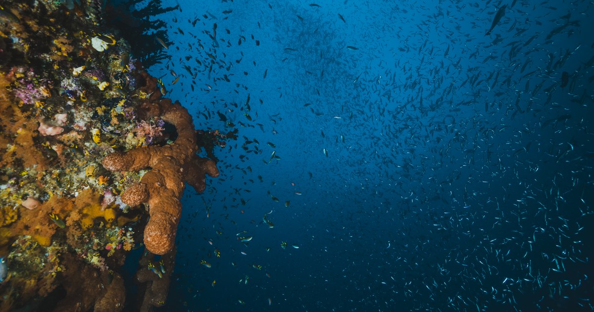 Earth's waters are rapidly losing oxygen.  This is one of the biggest threats to the life support system on the planet