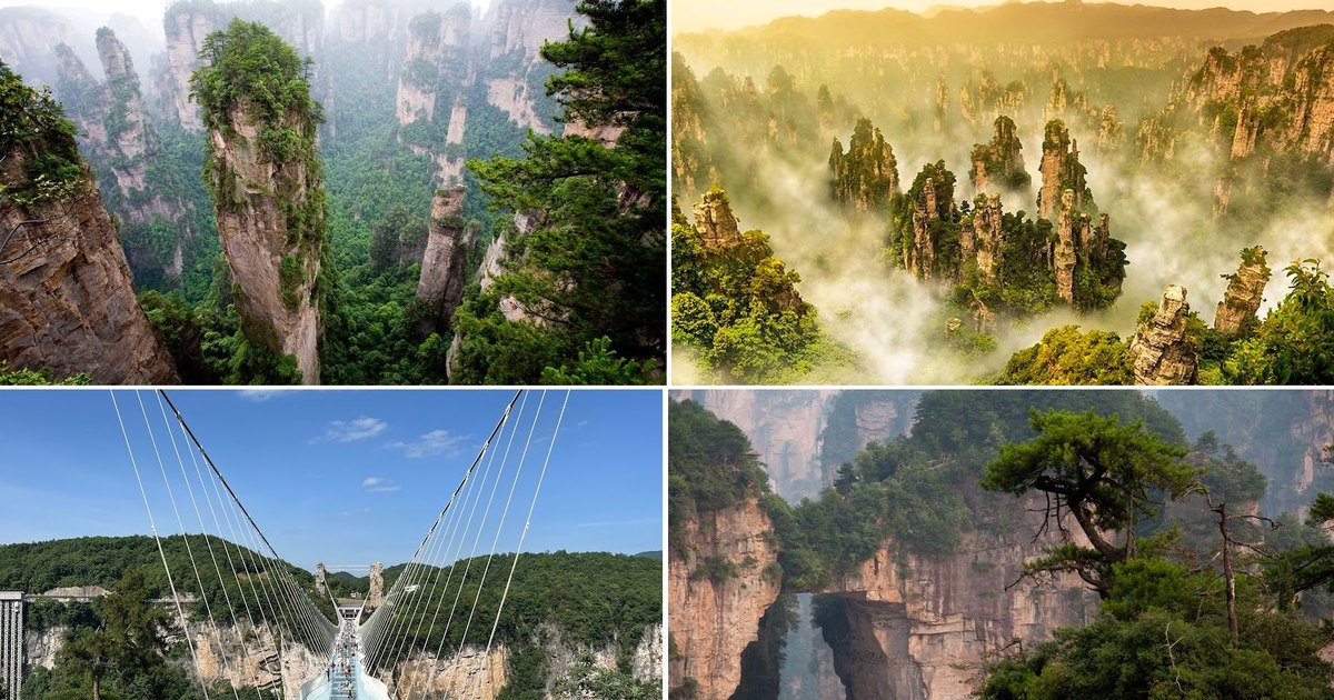 Get lost in the fascinating world of Avatar.  What the "suspended mountains" look like in reality, with the highest elevator in the world VIDEO