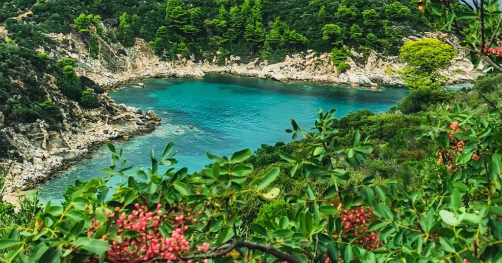 Holiday spending in Greece has seen record increases.  How much does a trip to the Greek paradise cost VIDEO