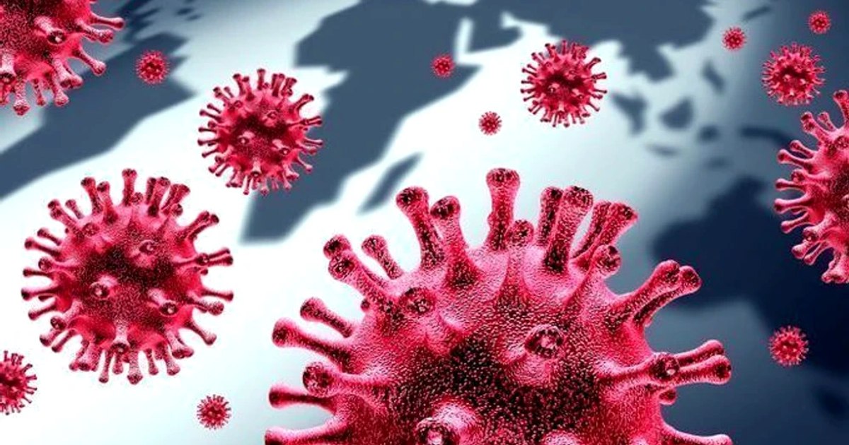 Over 2,000 new cases of COVID-19 and 11 deaths last week