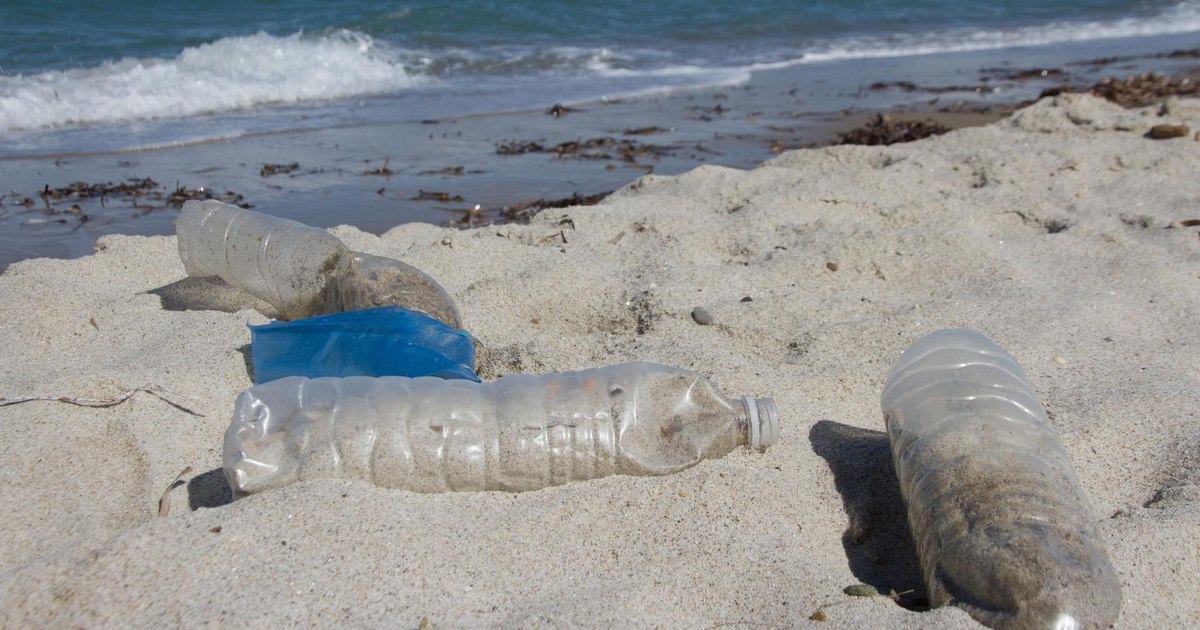 Paradise full of plastic.  The Mediterranean Sea is massively polluted with microplastics, and the numbers are alarming