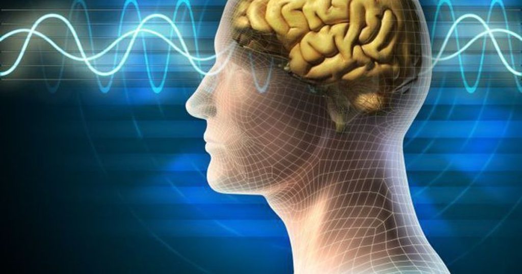 People "night birds", smarter than those who go to bed early.  How important sleep duration is for the brain