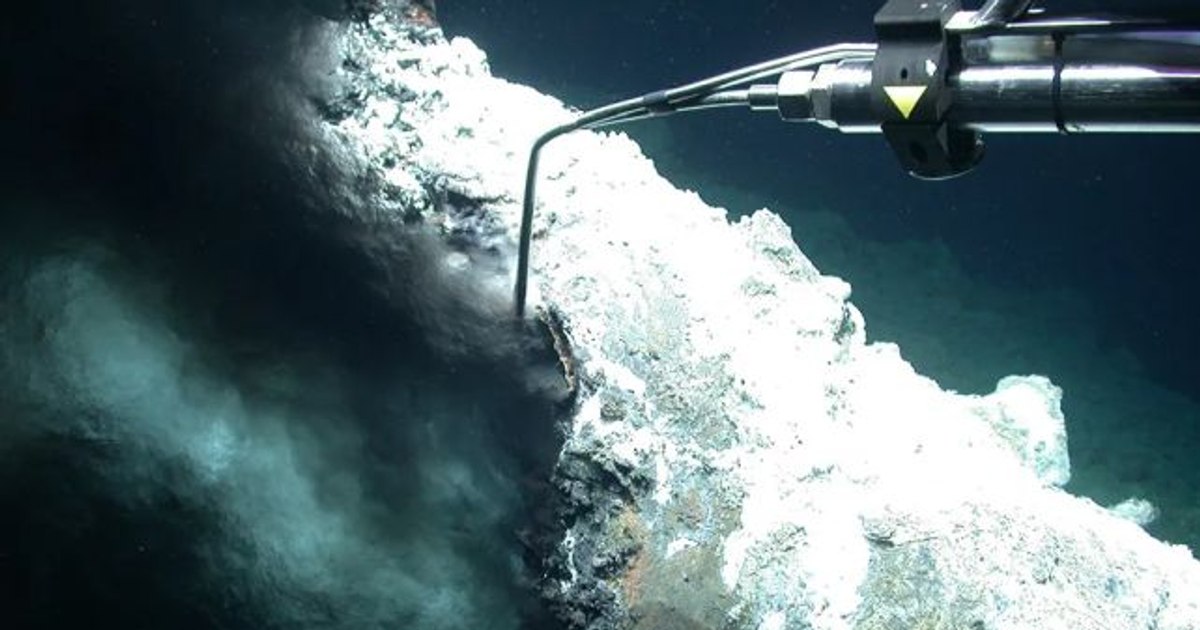 The hidden world beneath the Arctic waters.  An oasis has been discovered in the darkness of the ocean