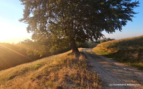 Urșici Village from Hunedoara Photo Daniel Guță THE TRUTH (33) jpg