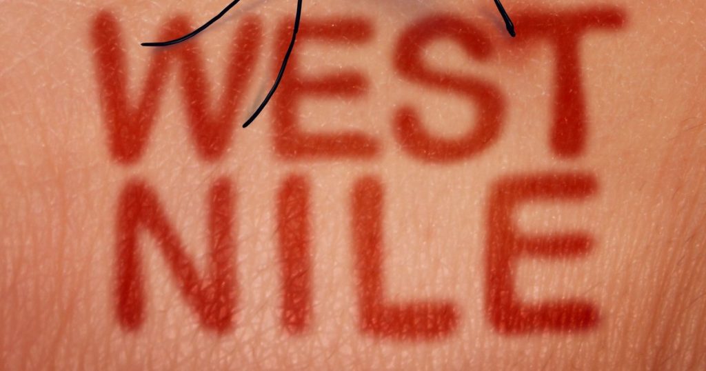 Why did the West Nile virus appear in Romania?  The explanations of an epidemiologist
