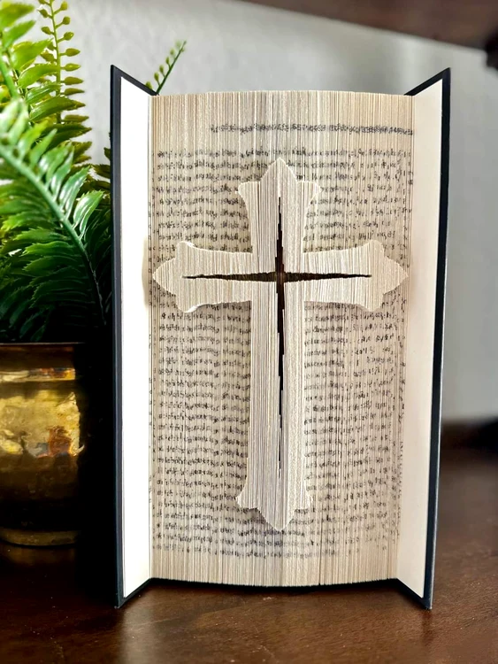 IMG 20240626 WA0012 jpg