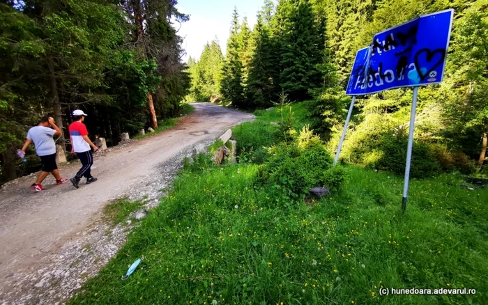 DN 66A at Campušel.  Photo: Daniel Guță.  TRUTH