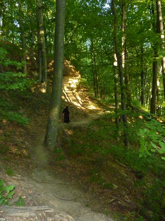 Through the forests of Voronea PHOTO Cosmin Zamfirache