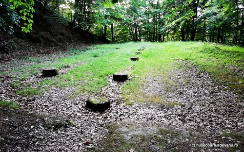 the Dacian fortress costesti photo daniel gutta the truth