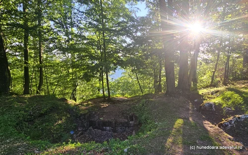 Dacian citadel Piatra Roșie Photo Daniel Guță THE TRUTH (13) jpg