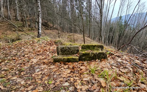 Dacian citadel White Faces Photo Daniel Guță THE TRUTH (76) jpg