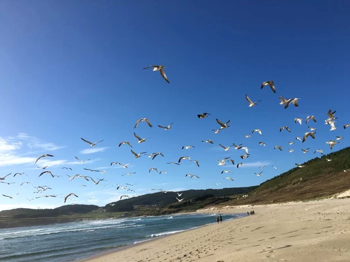 Fascinating beaches PHOTO: Praia de Nemina/Facebook