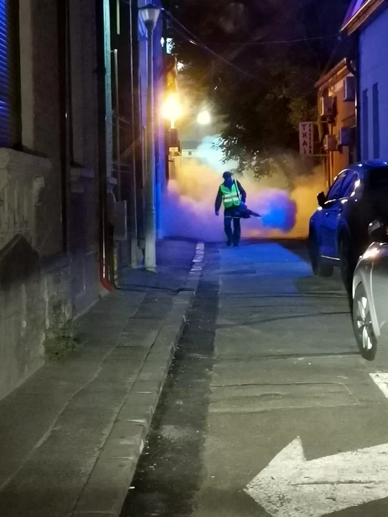 Bucharest disinfestation 