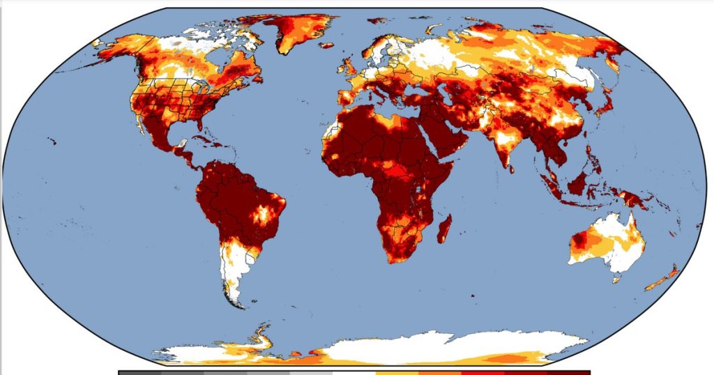 5 billion people suffer from extreme heat: death toll in Europe rises by 30%