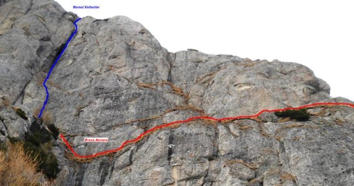 A young woman died after falling from 300 meters in Bucegi. The three friends who accompanied her on the mountain, in a state of shock