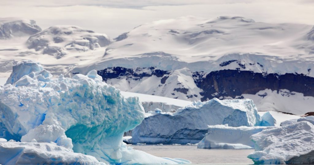 Antarctica under siege. Melting glaciers open the gate to invaders