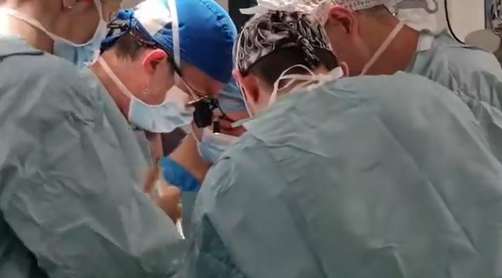 First in the medical world: a patient received an artificial heart made of titanium.  How the device works