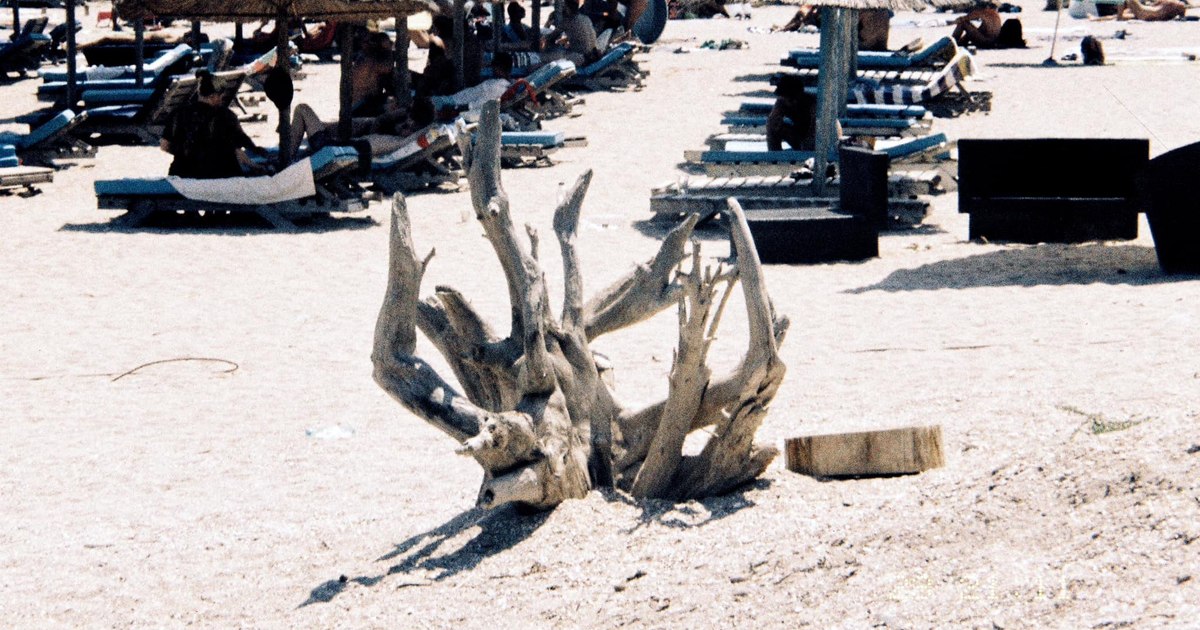 How much did the water and the banal cabbage salad end up costing in the cheapest resort on the Romanian coast.  "Nowhere have I found so much insensitivity"