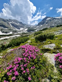 Parâng Mountains Photo Attila Dobai (10) jpg