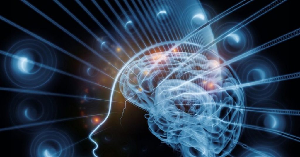 Last moments of consciousness. What happens to our brains when we die: "It's one of the biggest mysteries" VIDEO