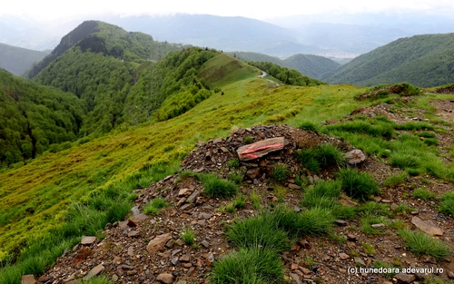 the volcano step photo daniel guta (1) JPG