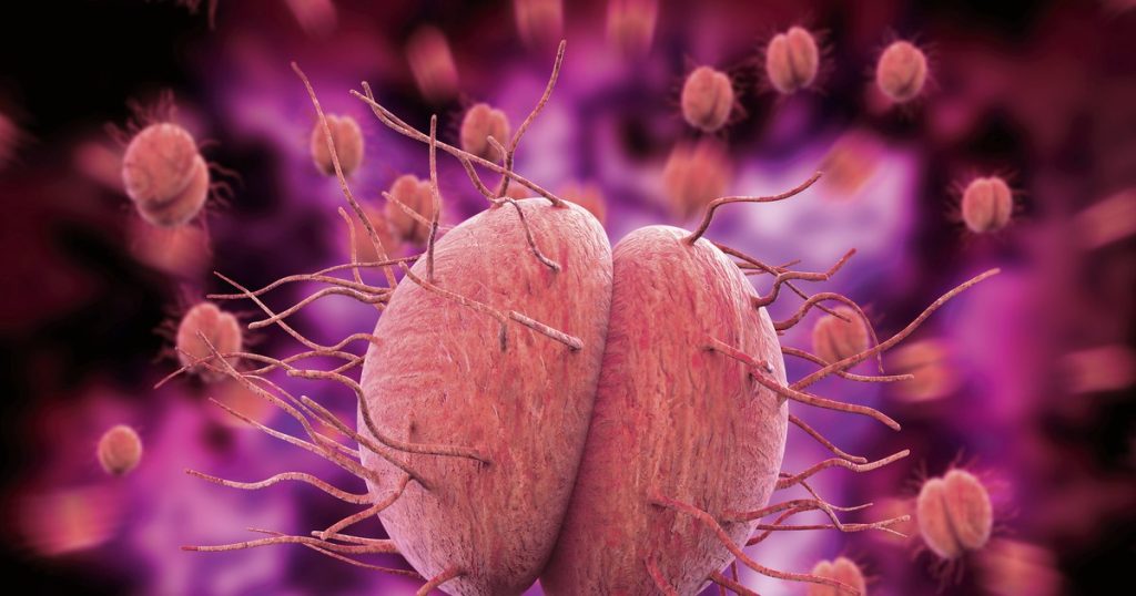 The bacteria that transmits a sexually transmitted disease may become untreatable in the future. "She will be more resistant to drugs"