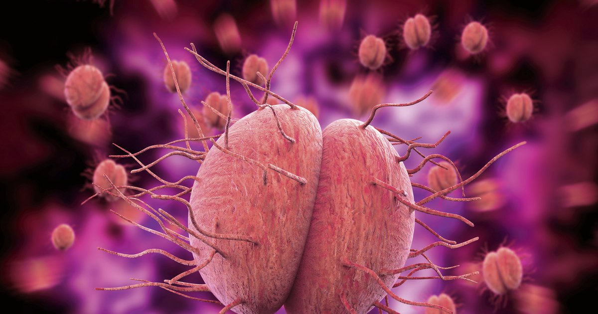 The bacteria that transmits a sexually transmitted disease may become untreatable in the future. "She will be more resistant to drugs"