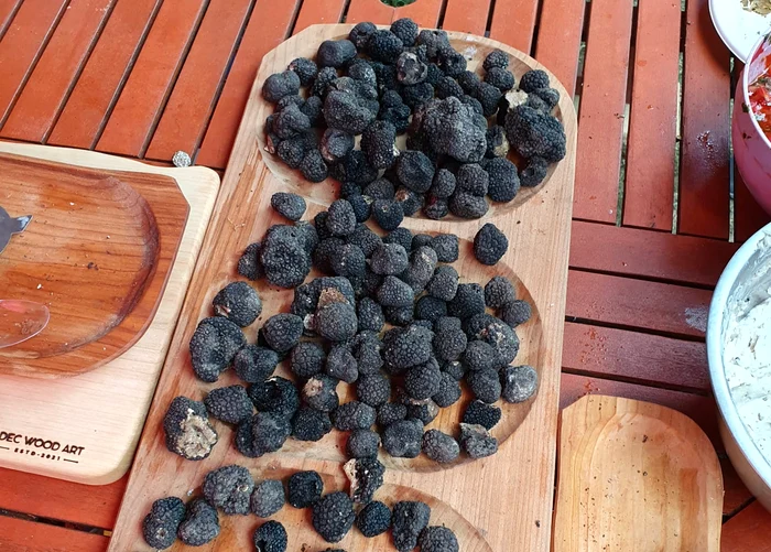 Truffles are an edible mushroom called the