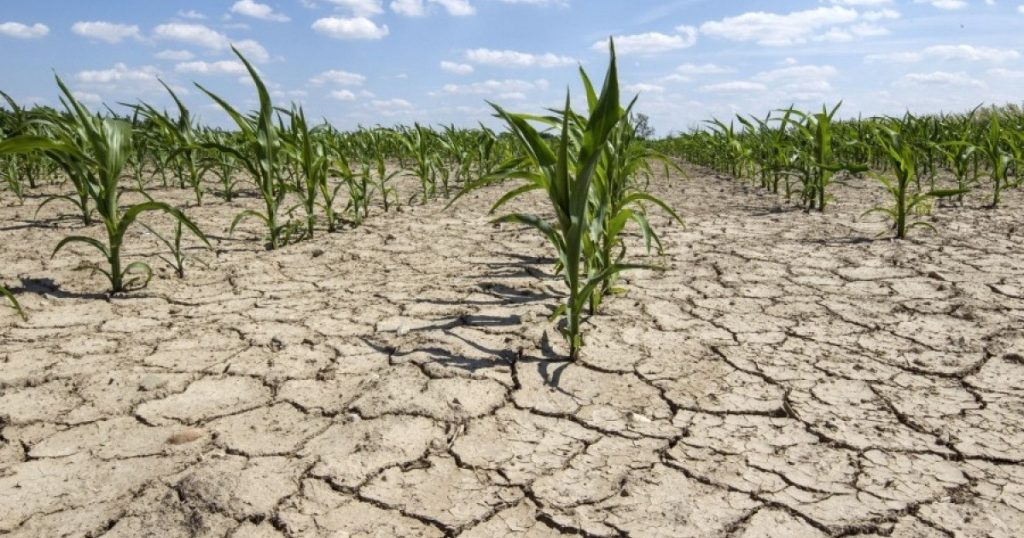 Water with the portion in hundreds of localities in Romania, due to the severe drought. Two rivers have completely dried up