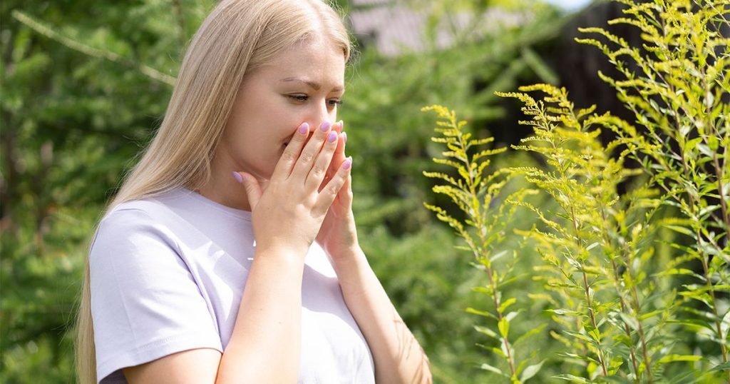 What we don't know about ragweed allergy. "I can't survive without the daily pill"