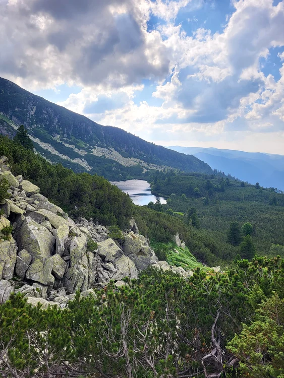 Gemini Reserve. Photo: Ottmar Trașca