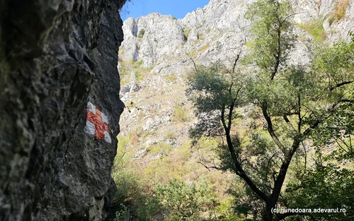 Cheile Turzii Photo Daniel Guță THE TRUTH (64) jpg