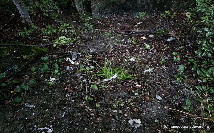 The rest of the tourists, left in Retezat. Photo: Daniel Guță. TRUTH