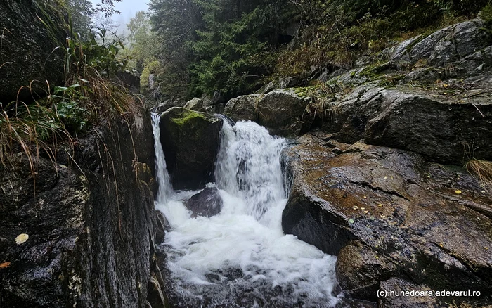 The waterfall on the Pietrele valley. Photo: Daniel Guță. TRUTH