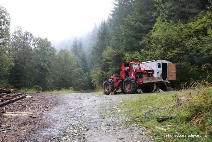TAF in Retezat. Photo: Daniel Guță. TRUTH