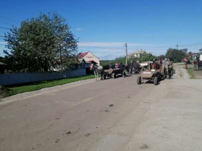 Most of the people in the village live from agriculture PHOTO Cosmin Zamfirache