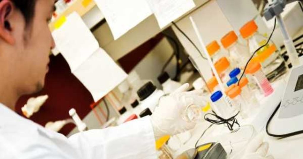 A protein that influences human longevity, identified by researchers