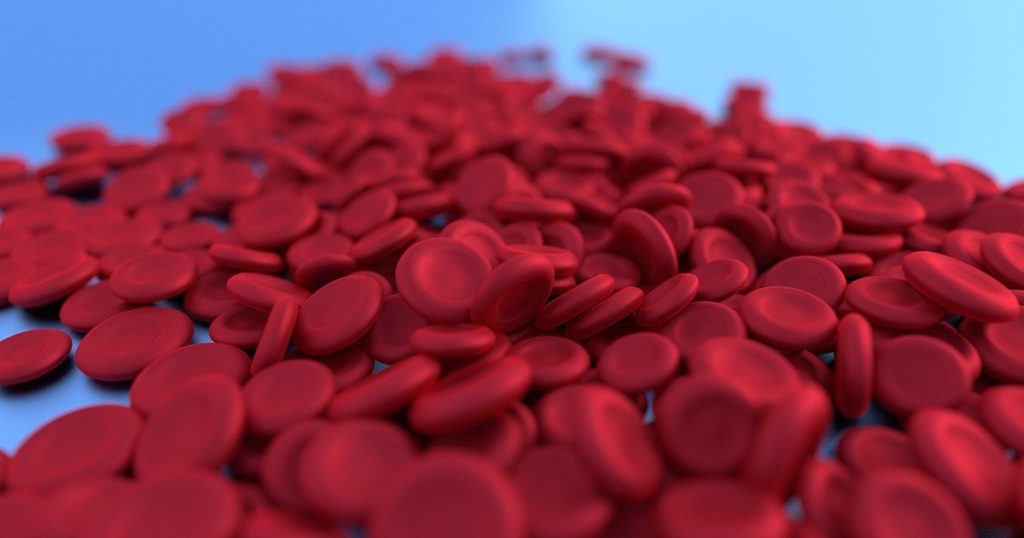 All about STEM cells. What they are, what they help and how you can become a donor