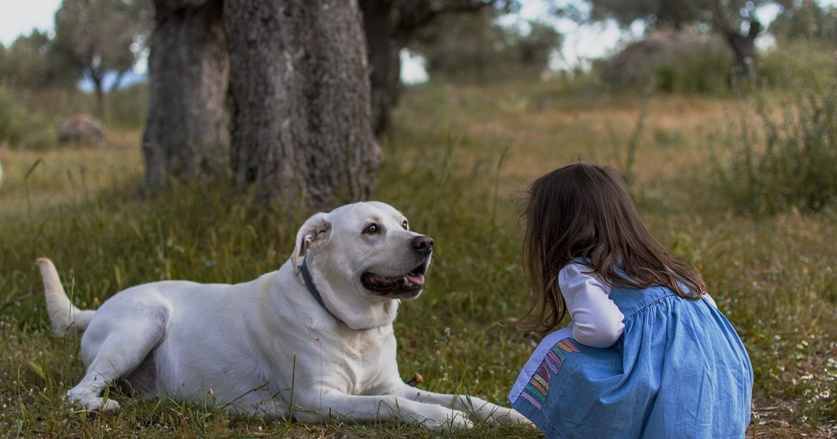 How children are affected by playing with dogs: little ones can express their feelings better thanks to furry friends