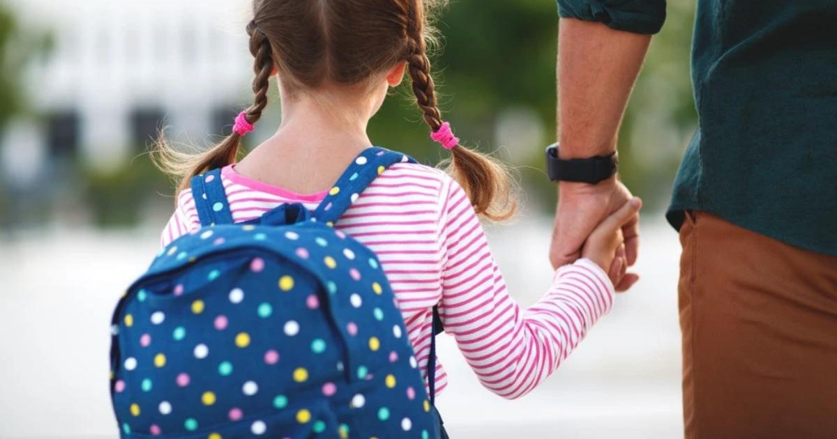 On Monday, September 9, 3 million students start school. The structure of the school year 2024-2025: When will be the first holiday