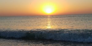 Five beaches in Romania entered the top of the most appreciated in the world. Received “Blue Flag”