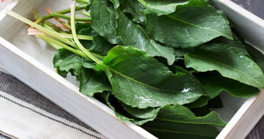 The healthiest alternatives to replace sugar