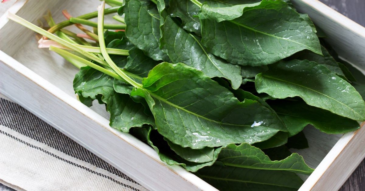 The healthiest alternatives to replace sugar