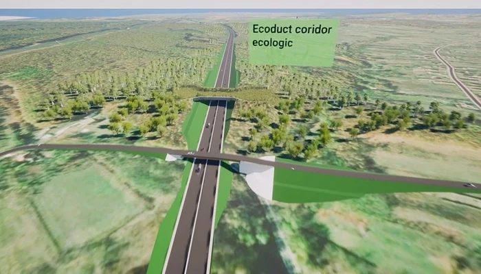 Offers for lot 6 are expected until November 18, 2024 PHOTO: Fb/S. Grindeanu