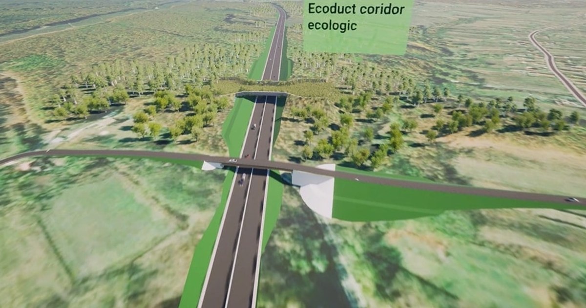 The last lot of the half highway-half express road has been put up for auction. How much does Târgu Carbunești - Târgu Jiu cost?
